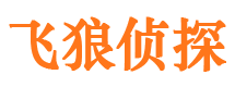 双桥市私家侦探公司